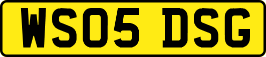 WS05DSG