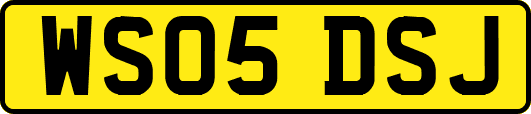 WS05DSJ