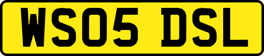 WS05DSL