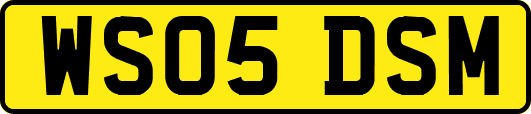 WS05DSM