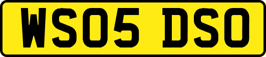 WS05DSO