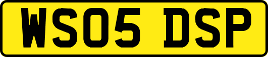 WS05DSP