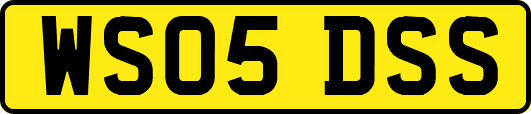 WS05DSS