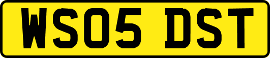 WS05DST