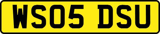 WS05DSU