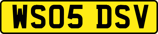 WS05DSV
