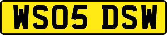 WS05DSW