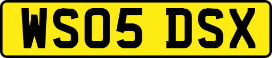WS05DSX