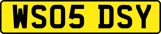 WS05DSY