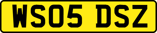 WS05DSZ