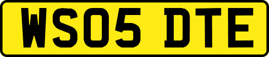 WS05DTE