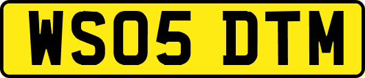 WS05DTM