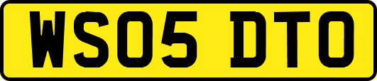 WS05DTO