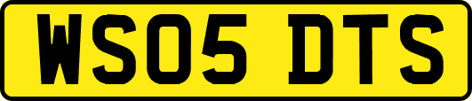 WS05DTS