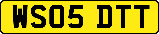 WS05DTT