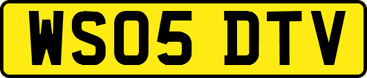 WS05DTV