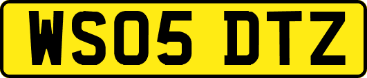 WS05DTZ