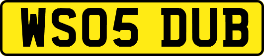 WS05DUB