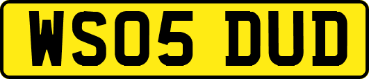 WS05DUD