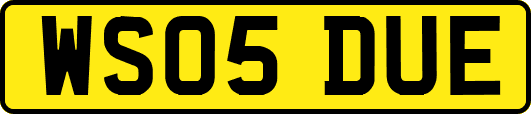WS05DUE