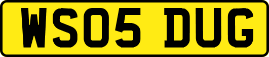 WS05DUG