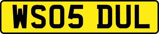 WS05DUL