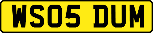 WS05DUM