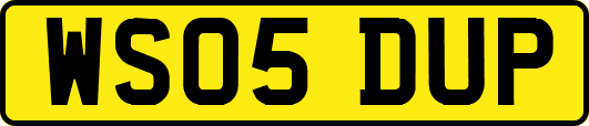 WS05DUP