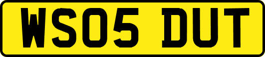 WS05DUT