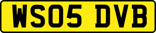 WS05DVB
