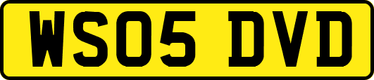 WS05DVD