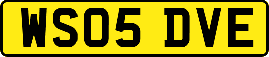 WS05DVE