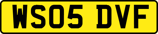 WS05DVF