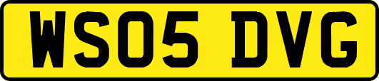 WS05DVG