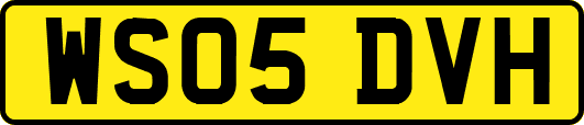 WS05DVH
