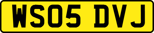 WS05DVJ