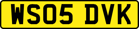 WS05DVK