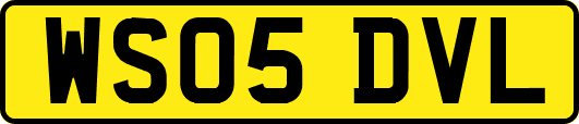 WS05DVL