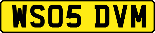 WS05DVM