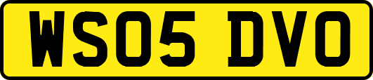 WS05DVO