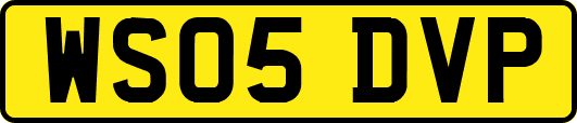 WS05DVP