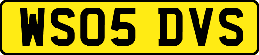 WS05DVS