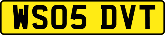 WS05DVT