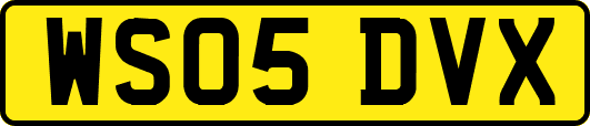 WS05DVX