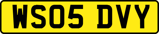 WS05DVY