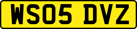 WS05DVZ