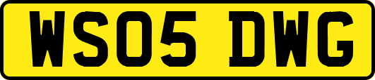 WS05DWG