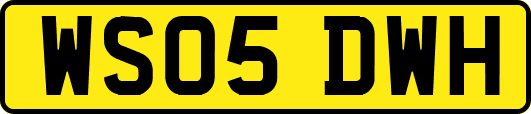WS05DWH