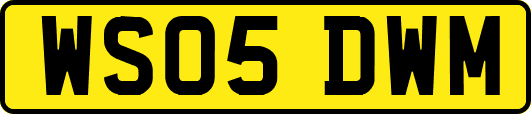 WS05DWM