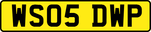 WS05DWP